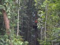 Tn DSC 3992